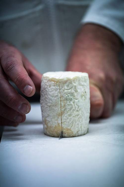 <span><span><span><span><span>Le fromage de chèvre du restaurant 1 étoile Frédéric Doucet à Charolles en Bourgogne </span></span></span></span></span>